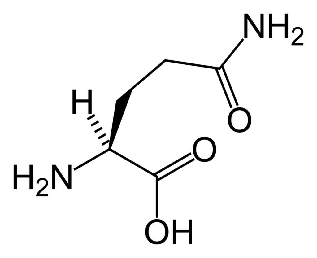 Glutamine supplement 